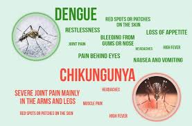 chikungunya dengue symptoms