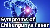 symptoms chikungunya fever