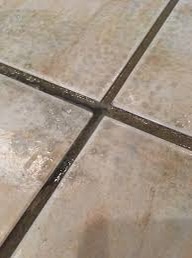 Grout